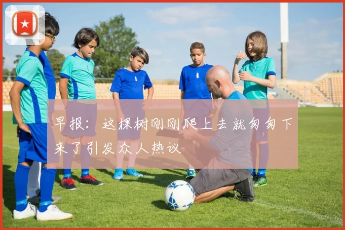早报：这棵树刚刚爬上去就匆匆下来了引发众人热议